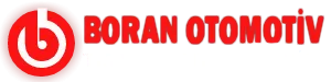 BORAN TIR - TRUCK SERVICE logosu